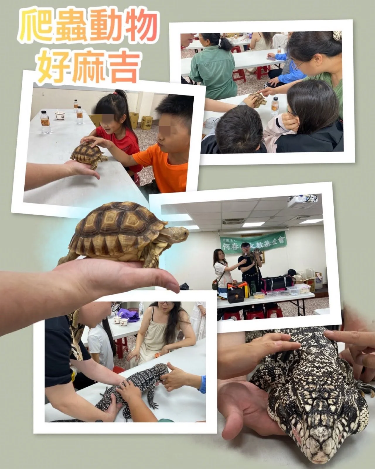 翊起認識爬蟲動物-歡慶兒童節